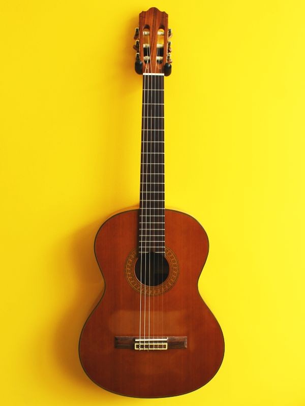 Walden Natura N730 Classical Guitar